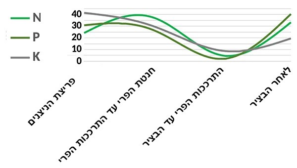 גרף