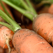 Crop image