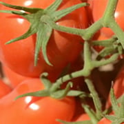 Crop image