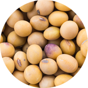 Crop image