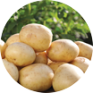 Crop image