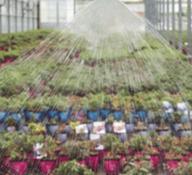 Gießwasseroptimierte Düngung
