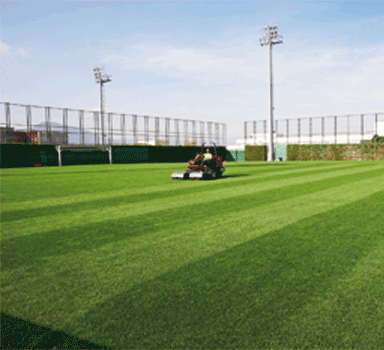 Tipps für die Rasenpflege: Besanden von Sportplätzen
