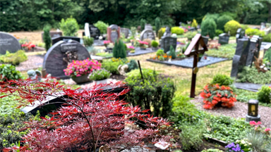 Zeit, Geld und Wassser sparen mit dem Benetzungsmittel H2Gro auf dem Friedhof