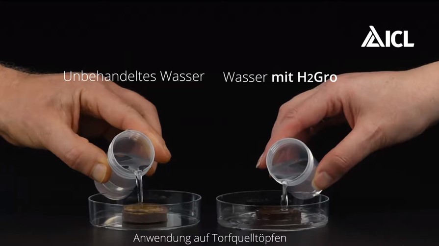 H2Gro Benetzungsmittel – Demonstration auf Torfquelltöpfen
