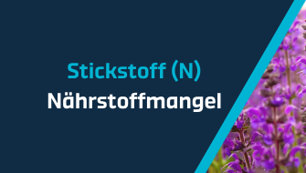 Ein Leitfaden für Nährstoffmangel – Stickstoff
