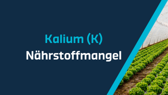 Ein Leitfaden für Nährstoffmängel – Kalium