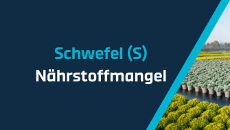 Ein Leitfaden für Nährstoffmangel – Schwefel