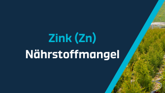 Ein Leitfaden für Nährstoffmangel – Zink