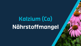 Ein Leitfaden für Nährstoffmängel – Kalzium