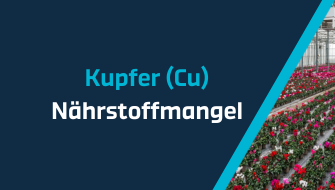 Ein Leitfaden für Nährstoffmangel – Kupfer