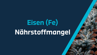 Ein Leitfaden für Nährstoffmangel – Eisen