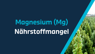 Ein Leitfaden für Nährstoffmangel – Magnesium
