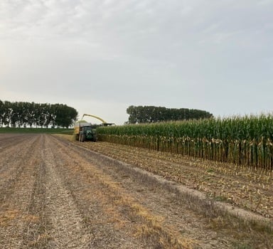 Agromaster<sup>®</sup> in Mais