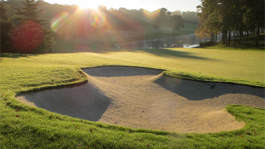 Greenkeepers Journal: Engerlinge im Golfrasen