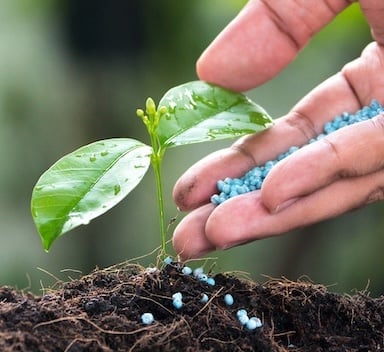 ICL transformiert AgriFood Tech-Umfeld mit Planet Startup Hub