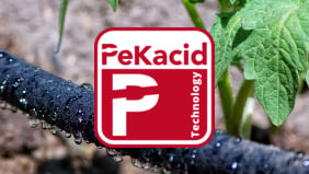 PeKacid®-Technologie