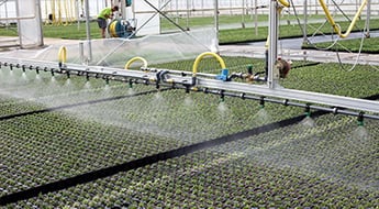Wenn das Wassermanagement wichtig ist: H2Gro®