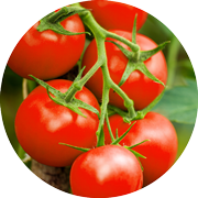 Crop image