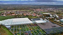 Experiențe cu Osmocote 5: Ienupăr în Cehia