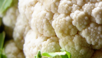 A káposztafélék hozamnövelése a Polysulphate-tal