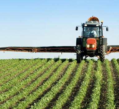 Ensaio de batatas com Agroleaf no Reino Unido