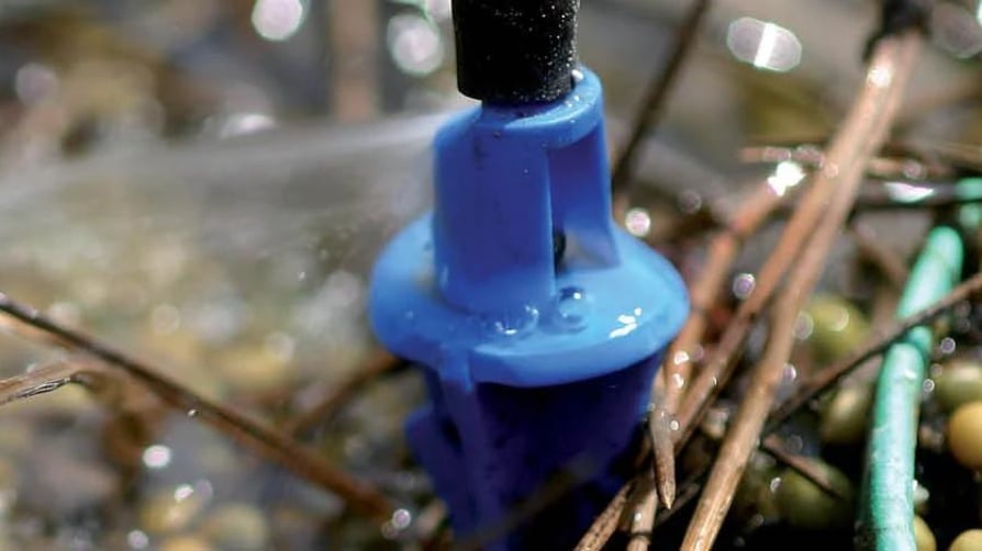 Cinco ventajas del sistema Osmocote® + fertilizante soluble