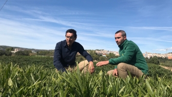 Osmocote® 5, garantía de un buen desarrollo del cultivo