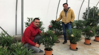 Osmocote® 5 aporta seguridad y sanidad a las plantas