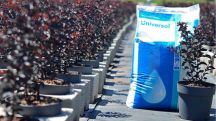 Universol y aguas de riego duras: la combinación perfecta
