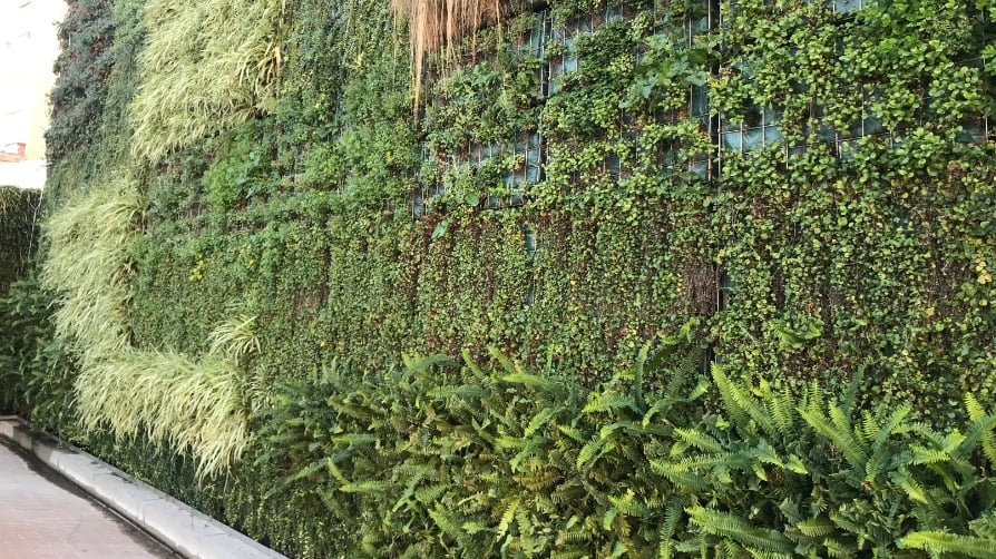 Los jardines verticales necesitan a Peters Professional