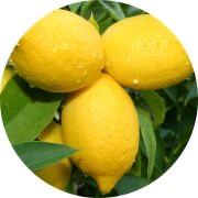 Citrinos