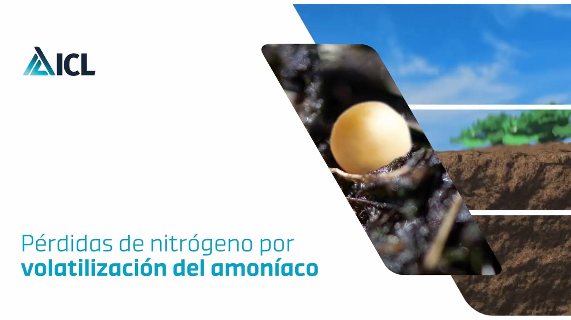La urea encapsulada vs la urea convencional