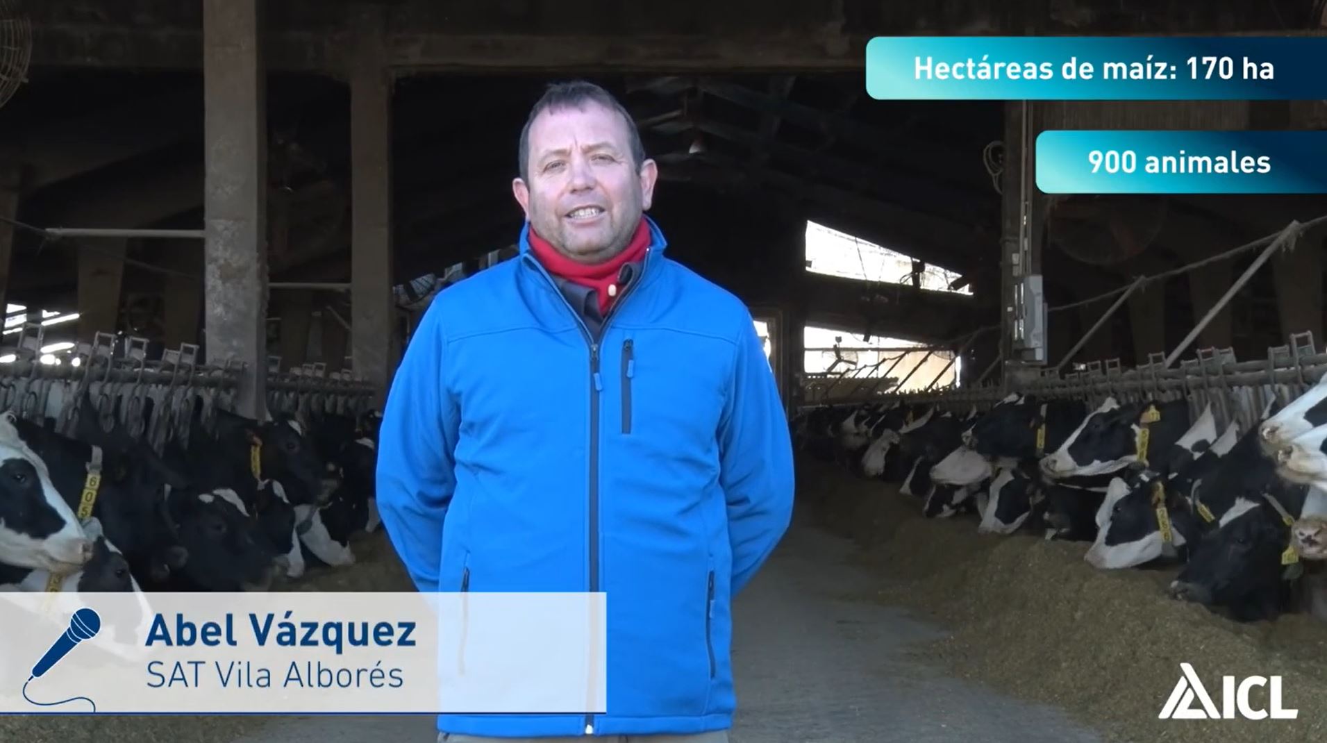 Testimonio en cultivo de maíz forrajero: Abel Vázquez