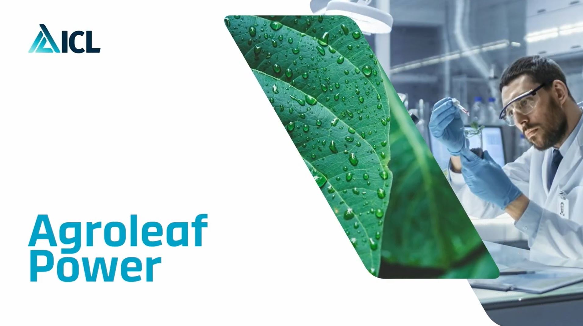 Cultivos más fuertes con Agroleaf Power