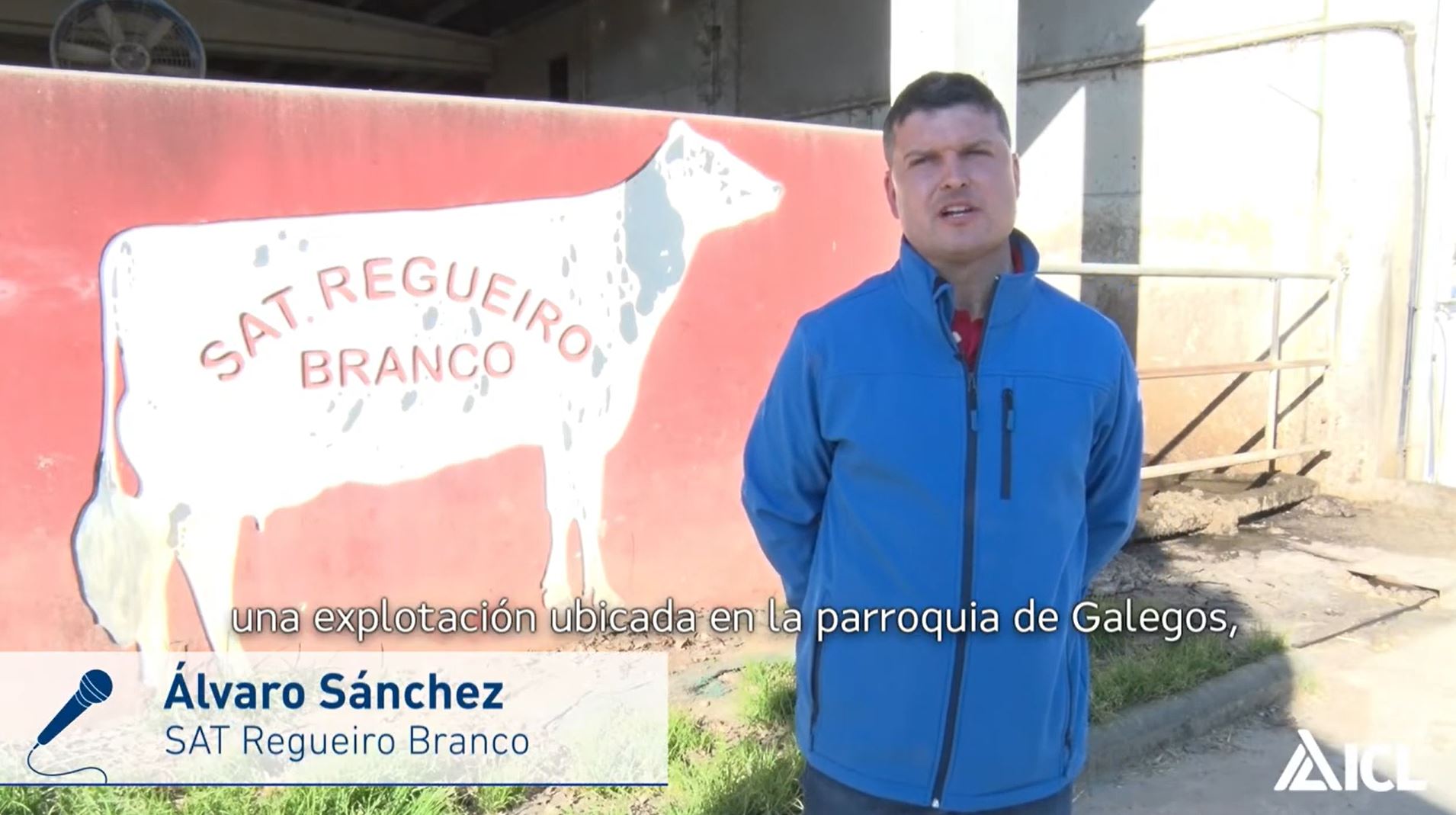 Testimonios en cultivo de maíz forrajero: Álvaro Sánchez, Manuel López y Martín García