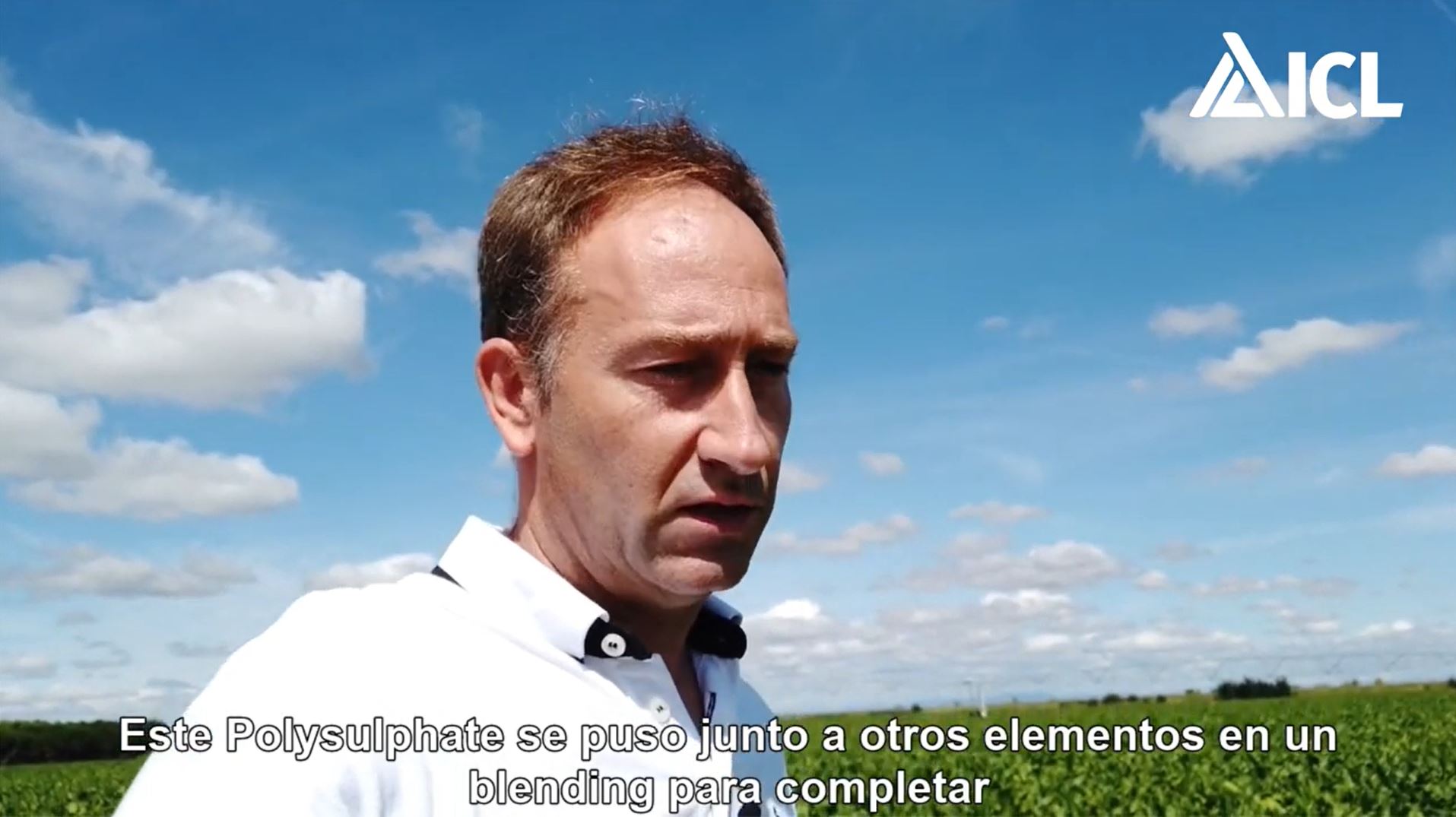 Abonado de remolacha con Polysulphate (parte 1)