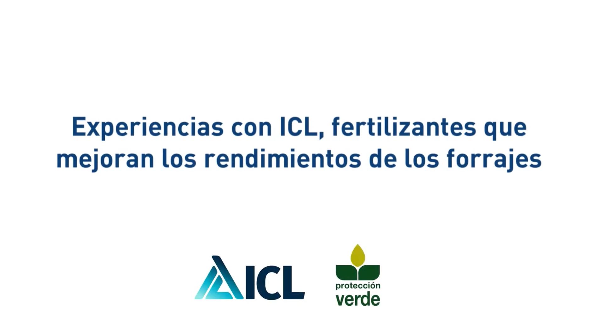 Solución integral de ICL para el cultivo de maíz forrajero