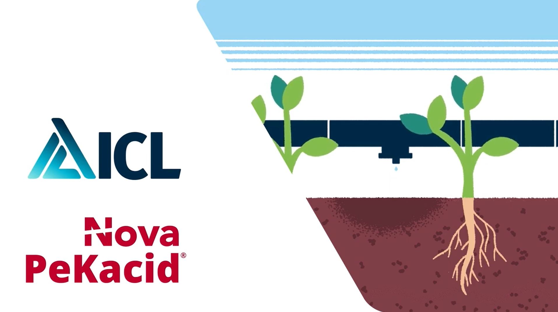 Nova PeKacid