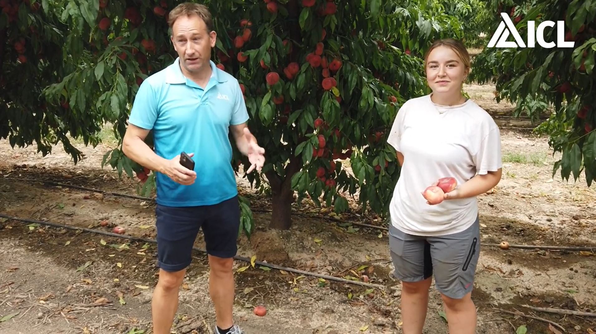 Testimonio en cultivo de frutales de hueso: Lua Fornos