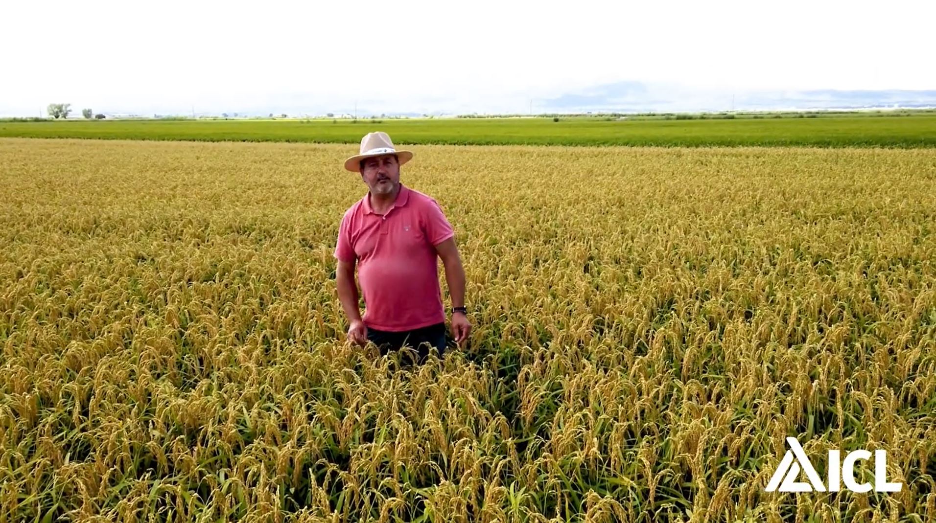 Testimonio en cultivo de arroz: Carlos Fornós