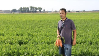 Aumento de producción y uniformidad con Agromaster<sup>®</sup>
