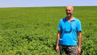 Plantas más sanas y fuertes con Agromaster<sup>®</sup>