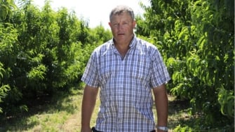 Buena respuesta de los árboles a Agromaster<sup>®</sup>