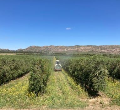 Lanzamiento de las suspensiones AGRIMOBI® para olivar