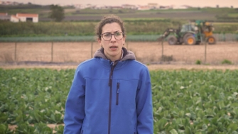 Agromaster<sup>®</sup> proporciona un inicio muy homogéneo a las plantas