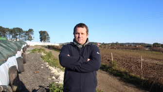 El programa de fertilización para maíz forrajero de ICL