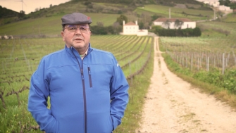 Agroblen<sup>®</sup> y Agromaster<sup>®</sup> recomendados para viña