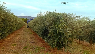 AGRIMOBI OLIVE-N previene las carencias de nitrógeno