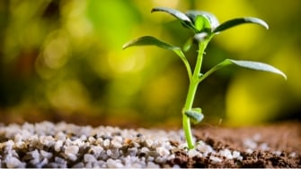 Polysulphate reduce la lixiviación de sulfatos